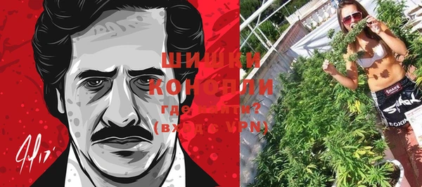 ПСИЛОЦИБИНОВЫЕ ГРИБЫ Михайловка