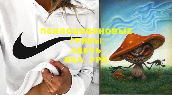 ПСИЛОЦИБИНОВЫЕ ГРИБЫ Михайловка