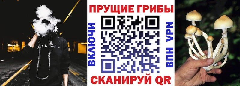 Псилоцибиновые грибы MAGIC MUSHROOMS Починок